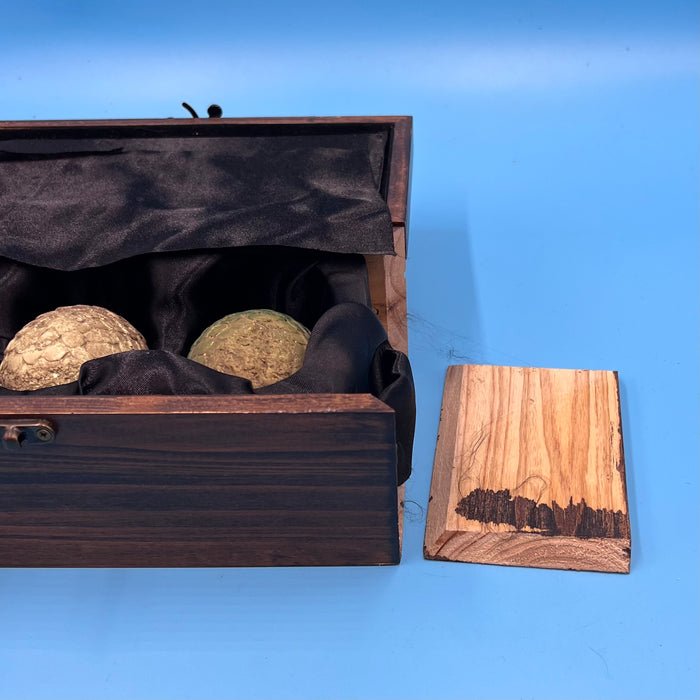 GARAGE SALE - Game of Thrones Dragon Egg Collectible Set - Sure Thing Toys