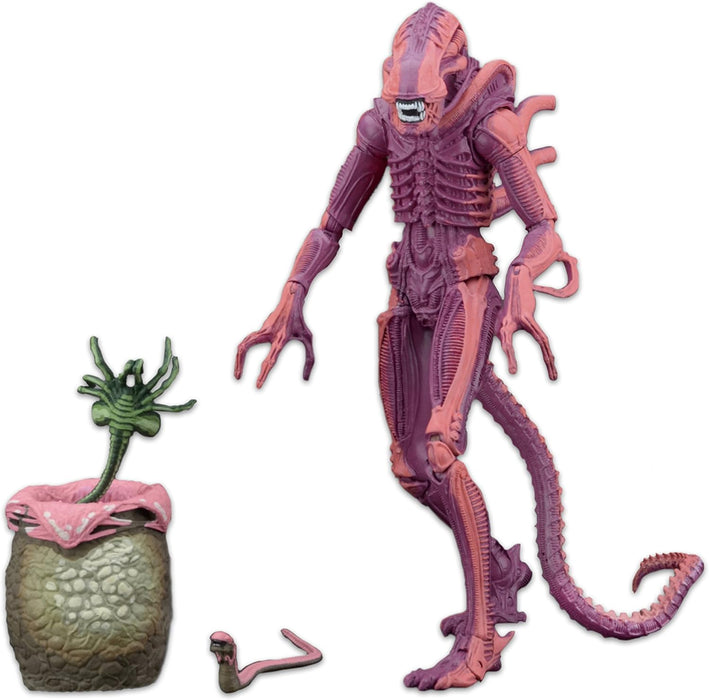 NECA Aliens - Warrior Alien (Arcade Appearance) 7-inch Action Figure - Sure Thing Toys
