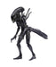 Hiya Toys AVP: Requiem (2007) - Alien Xeno Warrior 1/18 Scale Action Figure - Sure Thing Toys