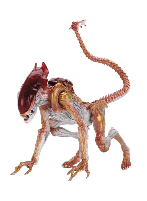 NECA Aliens: Kenner Tribute - Panther Alien 7-inch Action Figure - Sure Thing Toys