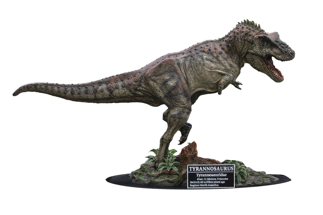 Star Ace Ray Wonders of the Wild - Tyrannosaurus Rex Polyresin Statue - Sure Thing Toys